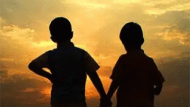 نبض الوفاء و الطيب