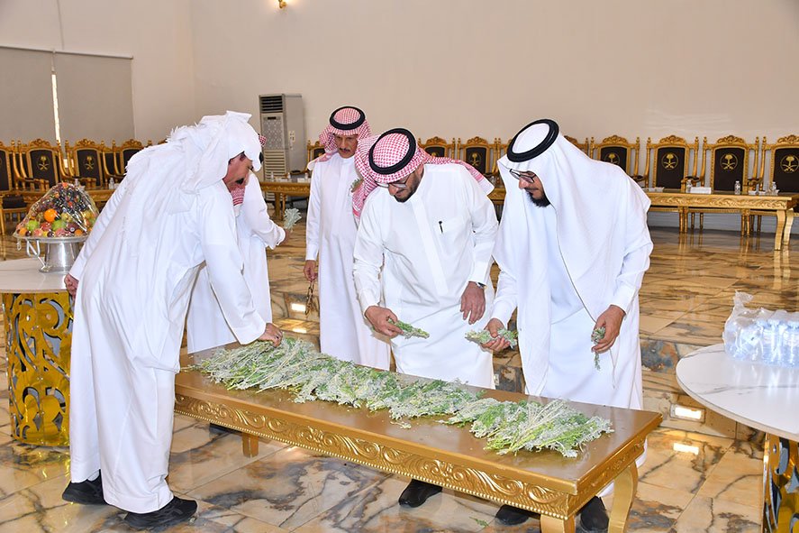  أفراح الحكمي