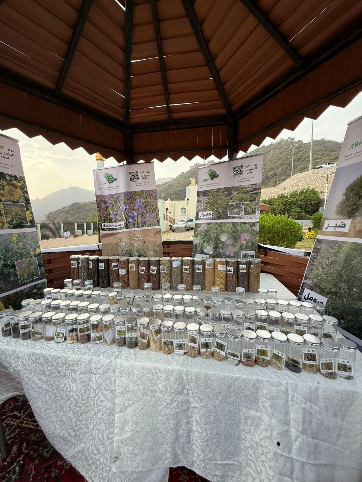 غرس الشتلات في منتزه قرضة بفيفاء.. مبادرة بيئية تعزز الاستدامة