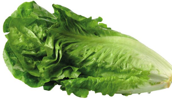 ينتصف سهيل بدخول الطالع الثالث