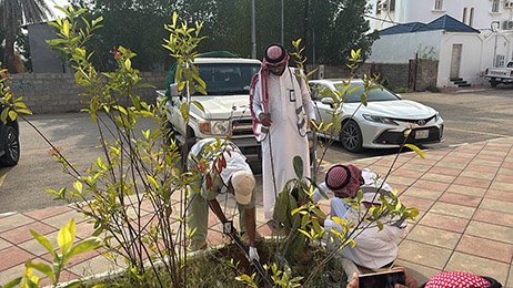 مكتب الوزارة بصبيا ينفذ مبادرة تشجير بمساجد محافظة ضمد