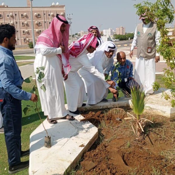 برعاية من محافظ الطوال اسمنت المنطقة الجنوبية تجسد مبادرة البصمة الخضراء