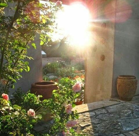 أصبوحتي حتى يعيش الصباح