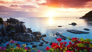 أصبوحتي تروي لنا قيثارة الحب