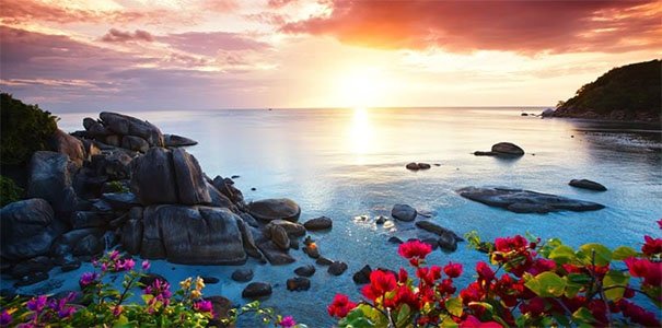 أصبوحتي تروي لنا قيثارة الحب