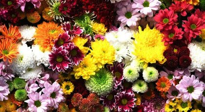 أصبوحتي زهر و ورد