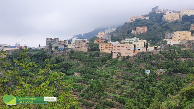 فيفاء الشموخ