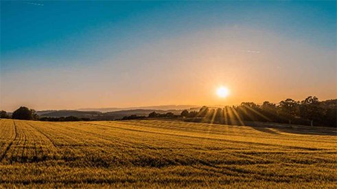 أصبوحتي أسرح بعينك