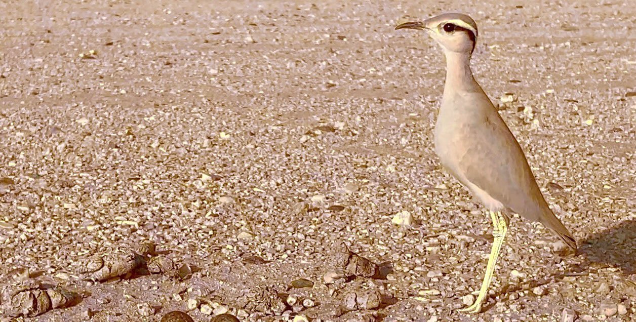 اليوم الأثنين بداية فصل الشتاء