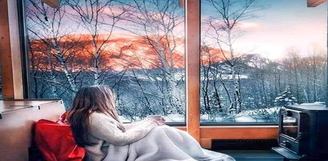 زيارة الشمس