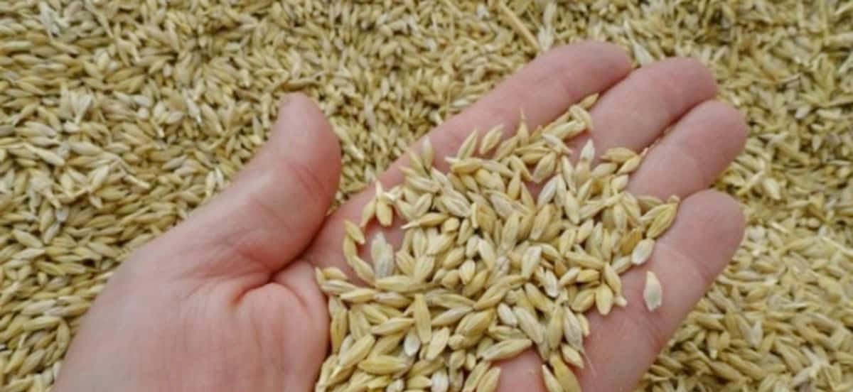 اليوم الأثنين بداية فصل الشتاء