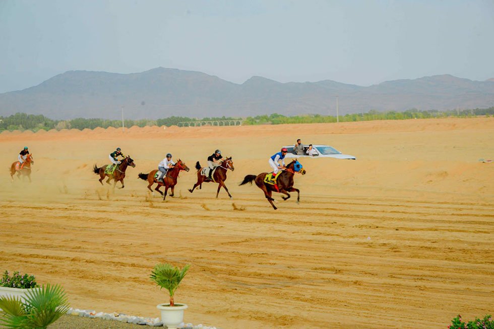 انطلاق سباق الفروسية السادس بمحافظة الحجرة