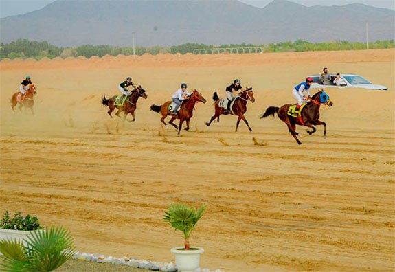 انطلاق سباق الفروسية السادس بمحافظة الحجرة