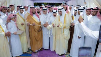 محافظ العرضيات يدشّن مهرجان العسل العاشر بحضور إعلامي واسع ومشاركة أكثر من 30 نحّالًا