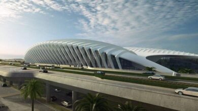 حين ينهض الحلم من قلب الأرض