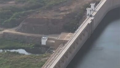 سد وادي ضمد