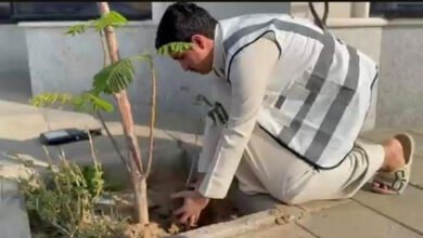 الشؤون الإسلامية في جازان تتيح (40) فرصة تطوعية لتشجير ساحات الجوامع والمساجد بمدينة جيزان وعددٍ من محافظات المنطقة