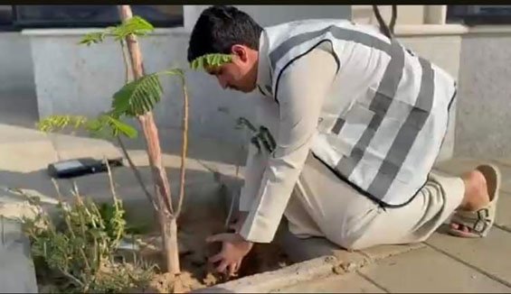 الشؤون الإسلامية في جازان تتيح (40) فرصة تطوعية لتشجير ساحات الجوامع والمساجد بمدينة جيزان وعددٍ من محافظات المنطقة