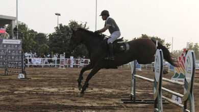 تقرير انطلاق بطولة أكاديمية فيوتشر هورس للفروسية بجازان