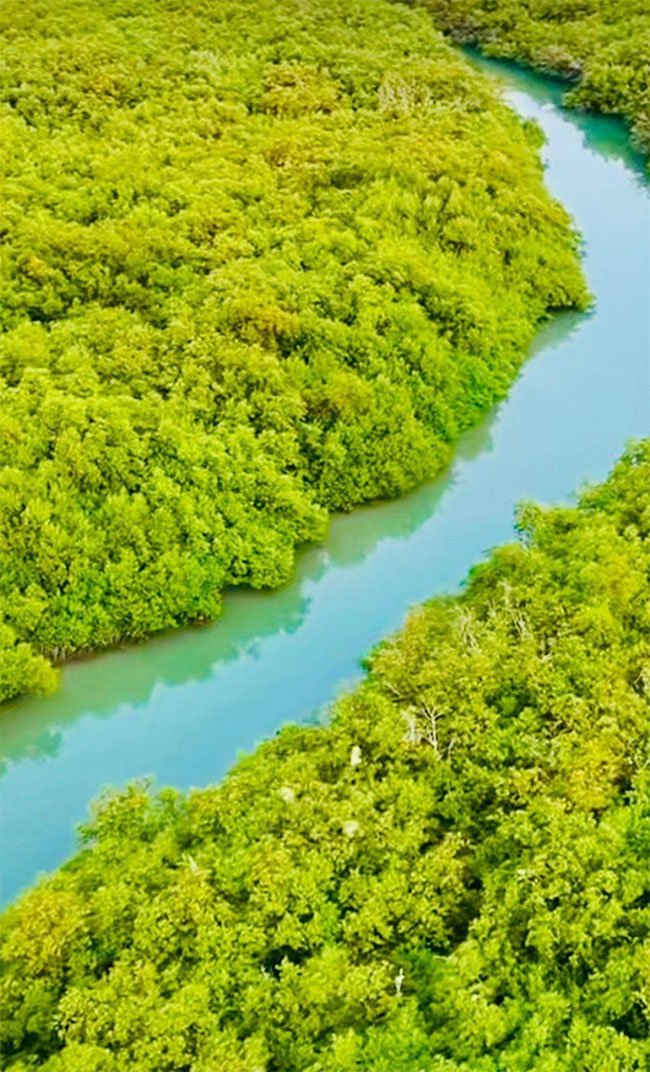 خور قوز الجعافرة.. عناق بين الجمال وزرقة البحر