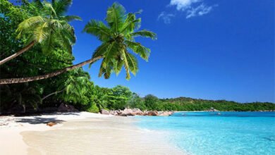 حكاية كل صباح