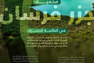 جزر فرسان… استدامةٌ تُتقنها الطبيعة ويُحسن الإنسان قيادتها