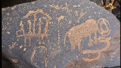 درب الفيل في محافظة العقيق: رحلة عبر التاريخ تنبض بالحضارة والإنسان