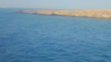 الجمعة انطلاقة مبهرة لمهرجان الحريد في محافظة فرسان وسط أجواء طبيعية وتراثية