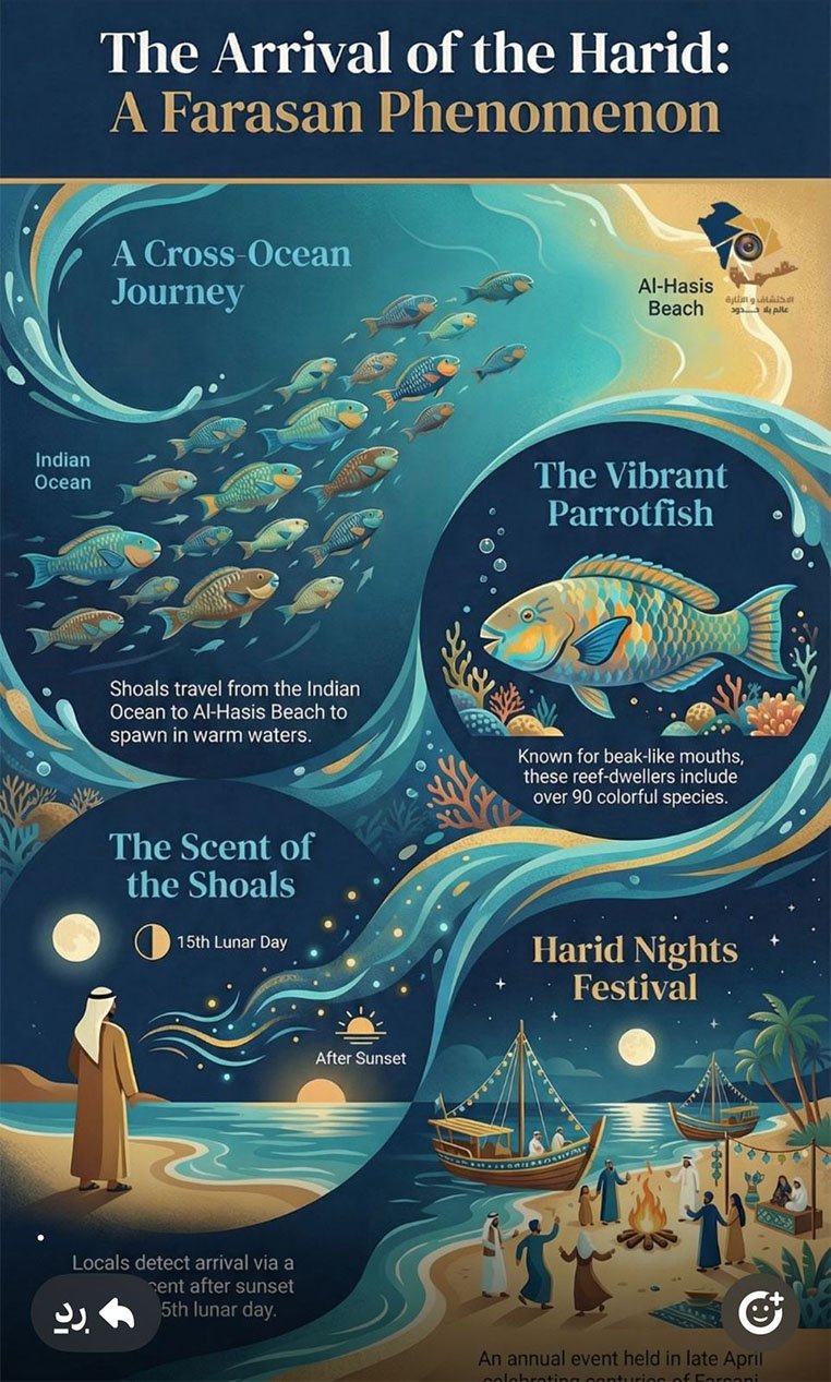 الحريد … عندما يكتب البحر قصيدته على شواطئ فرسان