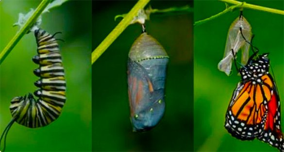 هل كُتب عليّ أن أبقى هكذا؟