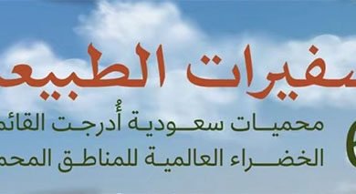 سفيرات الطبيعة… عندما تتحدث الأرض السعودية بلغة الخُضرة والحياة