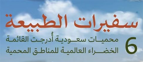 سفيرات الطبيعة… عندما تتحدث الأرض السعودية بلغة الخُضرة والحياة