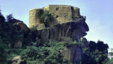 حكاية حجرٍ فيفاء الذي يحرس الذاكرة