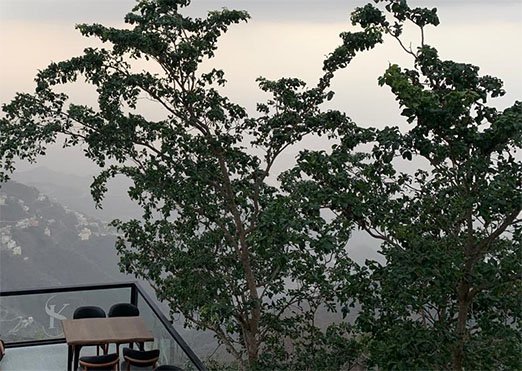 فيفاء.. لوحة طبيعية ساحرة تتألق بالجمال والسياحة