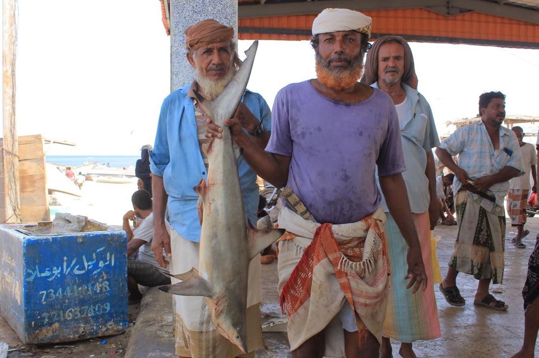 في شاطئ الحصيص تتراقص الشباك مع الموج… مهرجان الحريد يكتب حكاية فرسان