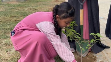 بلدية الطوال تنفذ مبادرة “حدائق بلدي” بزراعة شتلات في الحدائق العامة