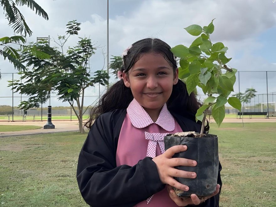 بلدية الطوال تنفذ مبادرة “حدائق بلدي” بزراعة شتلات في الحدائق العامة