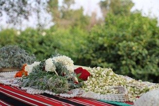 جازان… عندما ينهض العطر من رحم الأرض