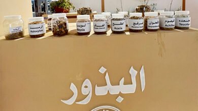ختام فعاليات أسبوع البيئة 2026م بجناح الغطاء النباتي ومكافحة التصحر في عرعر تحت شعار «أثرك أخضر»