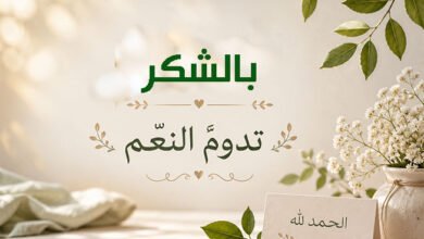 حين يغيب الوعي… تتألم الأماكن