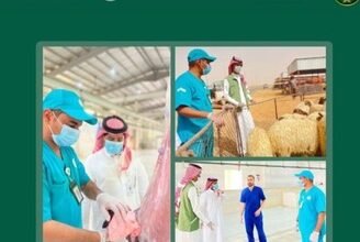 حملة “جاهزية وامتثال” ترفع مستوى الرقابة على الأسواق والمسالخ برفحاء
