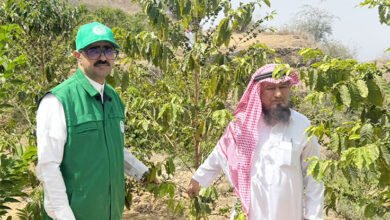مدير مركز وقاء بمنطقة جازان يزور مزرعة الغزواني بجبل صماد لمتابعة مزارع البن